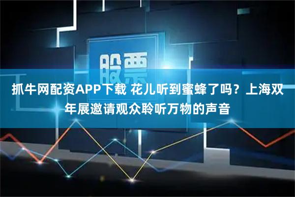 抓牛网配资APP下载 花儿听到蜜蜂了吗?上海双年展邀请观众聆听万物的声音